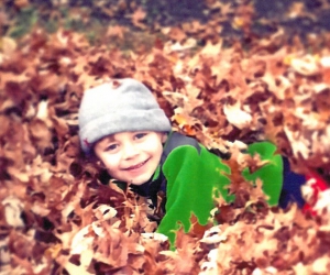 Finn playing in a pile of leaves.