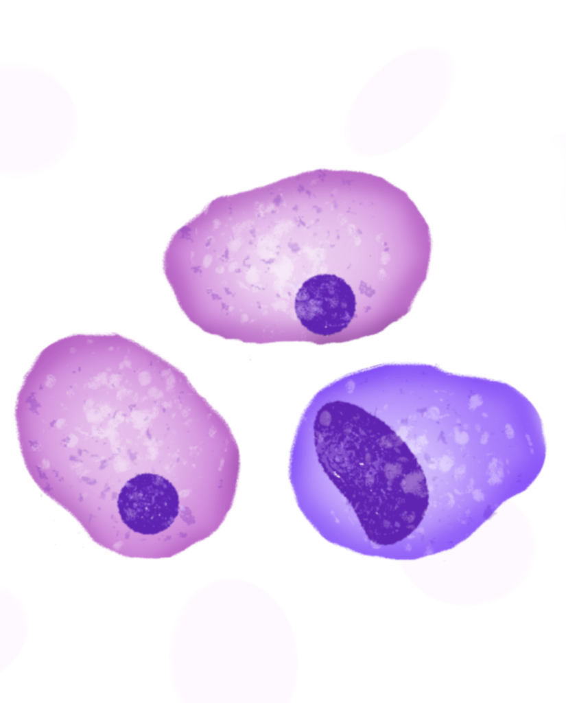 Multiple Myeloma Series - HealthWell Foundation
