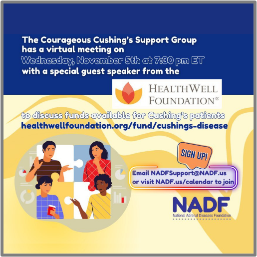 Announcement for The Courageous Cushing’s Support Group virtual meeting on Wednesday, November 5th at 7:30 pm ET with a special guest speaker from the HealthWell Foundation to discuss funds available for Cushing’s patients. The image includes illustrations of four people in conversation, the HealthWell Foundation logo, and the National Adrenal Diseases Foundation (NADF) logo.